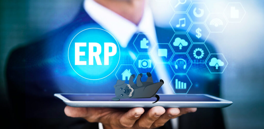 Implementación exitosa de un ERP